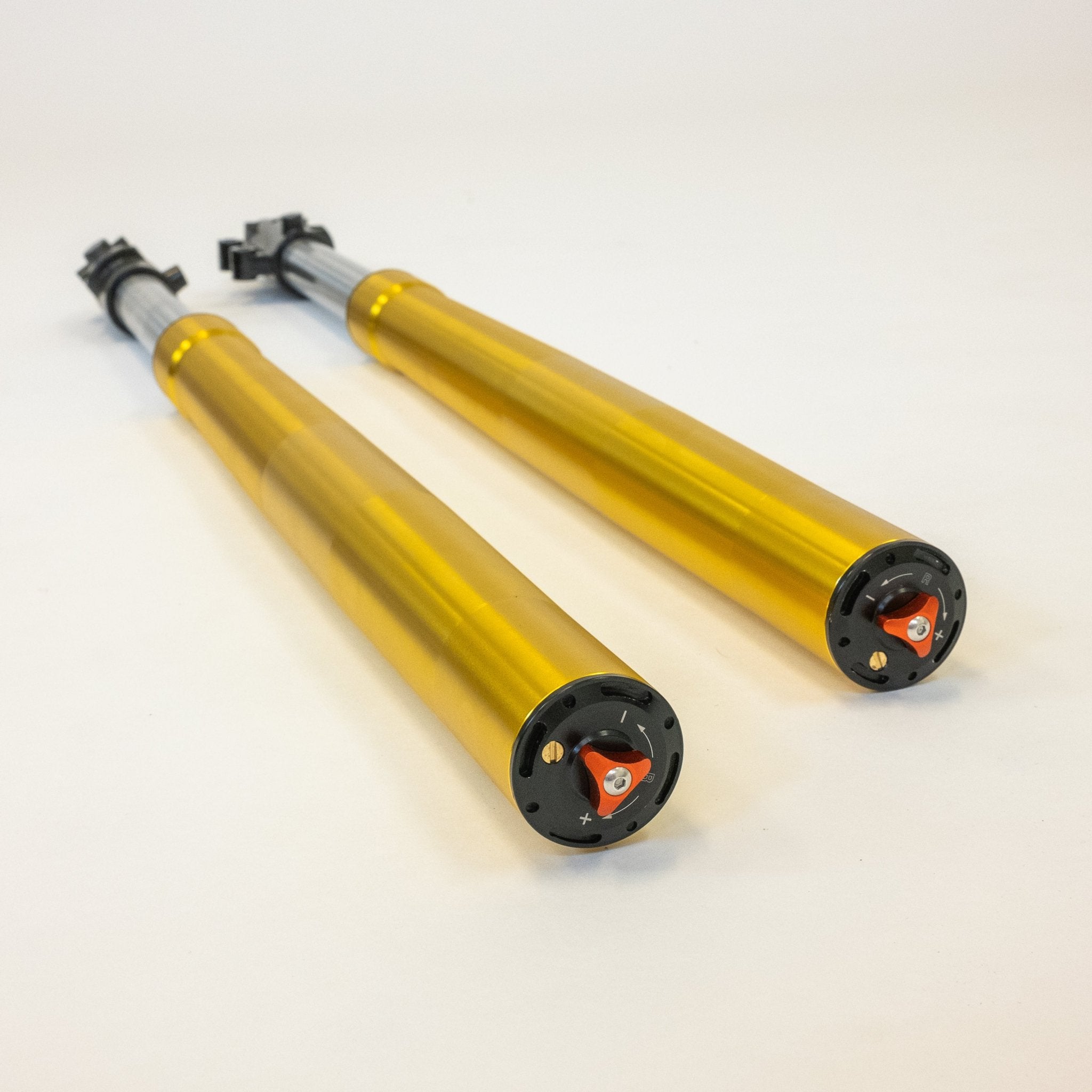 USD - Gabelset - Black Tea Motorbikes - Elektromotorräder hergestellt in Deutschland